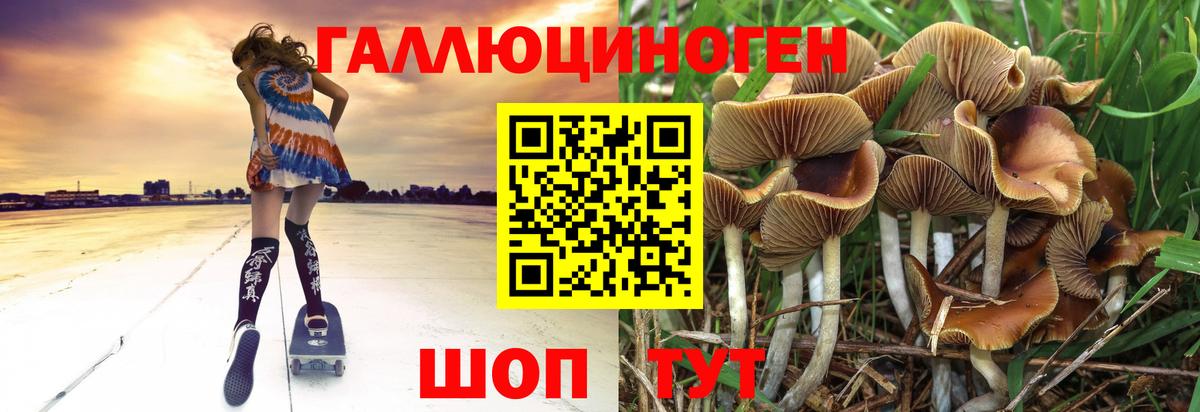 Псилоцибиновые грибы Psilocybe Михайловка