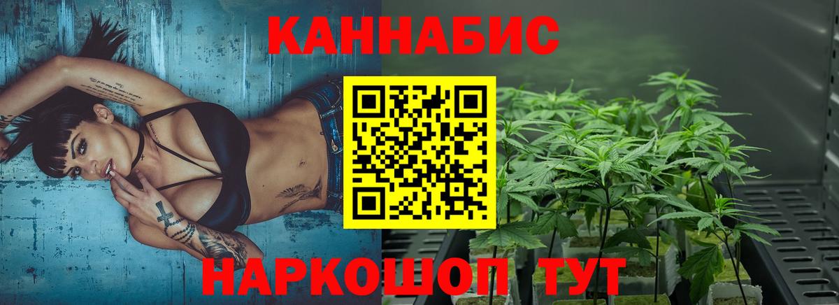 Бошки Шишки гибрид  Шишки марихуана сатива  Вход с VPN  Бошки марихуана THC 21%  Михайловка 